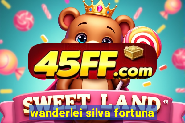wanderlei silva fortuna